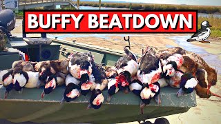 Bufflehead Beatdown on the Georgia Coast Tybee Island [upl. by Ahsima]