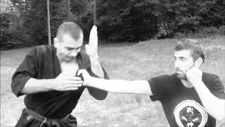 Oya Goroshi  Hajutsu Kyu Ho  Ninjutsu klub Bujinkan Leskovac [upl. by Ferrick]