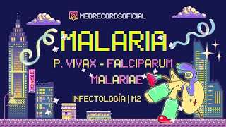 MALARIA PALUDISMO  Plasmodium vivax malariae falciparum  Clínica Diagnóstico Tratamiento  INFECTO [upl. by Artina397]