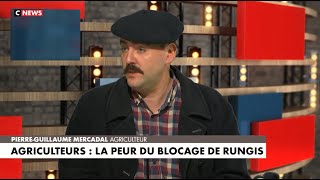 La Ferme des Cochons Laineux sur CNEWS Morandini Live [upl. by Assirual]