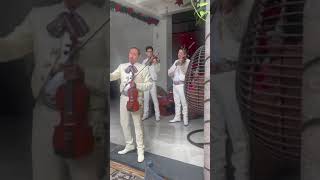 MARIACHI SOL DE COLIMALA VENÍA BENDITA [upl. by Aekim]