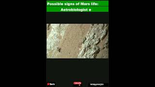 Possible signs of Mars life Astrobiologist explains Perseverance rovers exciting findShorts [upl. by Backer]