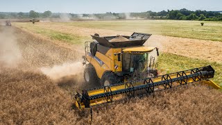 🌾 Žatva Harvest 2024  4x New Holland [upl. by Ahsemik398]