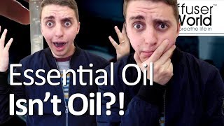 Is Essential Oil Really Oil [upl. by Puritan484]