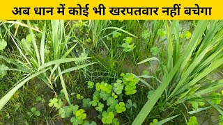 धान में होने वाले सभी खरपतवारों को करें जड़ से नष्ट  Dhan ke kharpatwar nashak  paddy Herbicide [upl. by Bethesda]