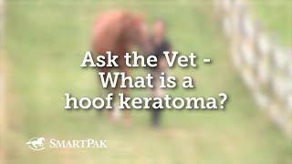 Ask the Vet  What is a hoof keratoma [upl. by Egide]