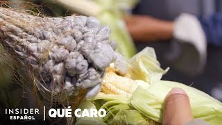 ¿Por qué es tan caro el huitlacoche o carbón del maíz  Qué caro [upl. by Billie]