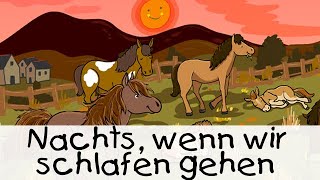 😴 Nachts wenn wir schlafen gehen  Geschichten für Kinder [upl. by Gudrun77]