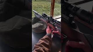 Unleashing The Power Of The Bsa R12 Clx Pro 12 Shot Multishot Pcp Air Rifle In Action [upl. by Libyc]