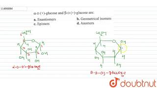 alphaD glucose and betaDglucose are [upl. by Aurlie]