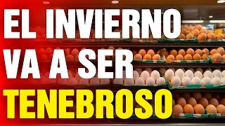 12 Alimentos que DEBES COMPRAR antes de Noviembre [upl. by Lauhsoj]