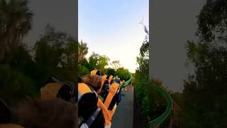 LAUNCH COASTER CHEETAH HUNT at Busch Gardens 🐆 shorts rollercoaster [upl. by Disraeli895]