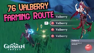 76 Valberry Farming Route  Genshin Impact Guide [upl. by Brenner918]