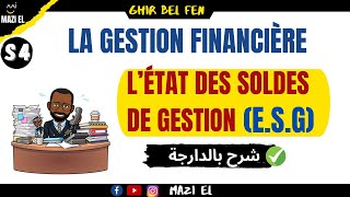 Analyse financière  létat des soldes de gestion ESG [upl. by Ahsienauq912]