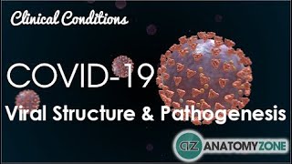 Coronavirus COVID19  Viral Structure amp Pathogenesis [upl. by Weslee]