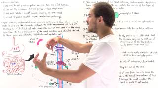 Cholera and GProtein Coupled Signaling [upl. by Davina]