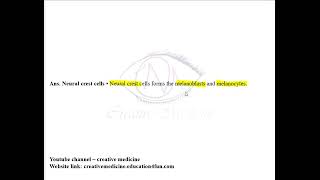 Derivatives of Ectoderm and Endoderm MCQ mp4 [upl. by Ping525]