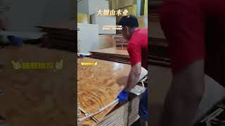 plywoodfurniture woodworking chinafactory wood plywoodworking plywood plywooddesign woodwork [upl. by Rodmur]