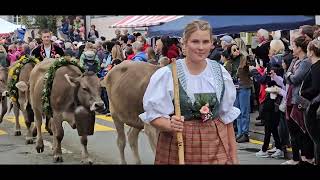 Entlebucher Alpabfahrt 2023 Schüpfheim LU Schweiz [upl. by Buonomo]