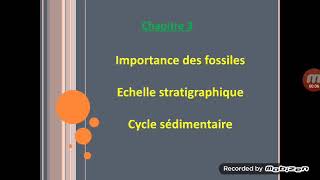 Fossiles et fossilisation 1AC [upl. by Lehcim22]