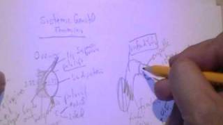 ANATOMIA 20 SISTEMA GENITAL FEMENINO Parte 1 [upl. by Roz]