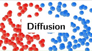 Diffusion Animation Physics [upl. by Nishi960]