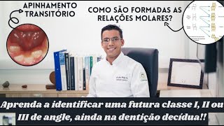 Como acontece e em qual momento do dia a erupção dos dentes decíduos  Aula 11 [upl. by Ru590]