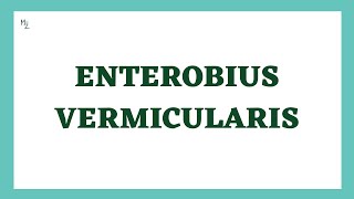 Enterobius Vermicularis  Pin Worms  Enterobiasis  Nematodes  Parasitology [upl. by Shaun]