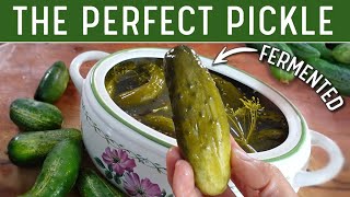 FERMENTED PICKLES  The Best Old Fashioned Dill Pickle Recipe No Rambling [upl. by Fenner]