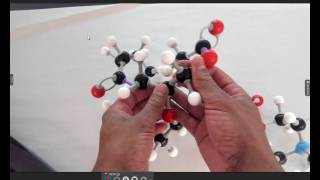 Phospholipid Structure using models [upl. by Tartaglia]