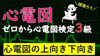 ゼロから心電図検定3級 【上向き下向き】【極性】 [upl. by Sitoiganap]