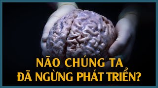 Điều Gì Khiến Não Bộ Con Người Đang Dần Nhỏ Lại  Vũ Trụ Nguyên Thủy [upl. by Cathryn]