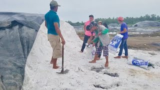 a llenar 20 Costales De SAL Descalzos y A Palas se trabaja 33 [upl. by Abeu]