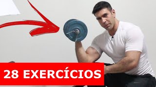 28 Exercícios com apenas 2 halteres treino em casa [upl. by Ahern]