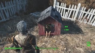 Fallout 4 How to find Dogmeat in Sanctuary [upl. by Elok928]