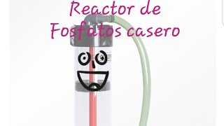 REACTOR DE FOSFATOS CASERO DIY phosBan Reactor [upl. by Lehcsreh]