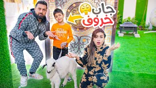 إبني أحمد فاجئ العائلة وجبلهم خروف🐑 ننوش تورطت😅  ريتشو و ننوش [upl. by Ynaffit]