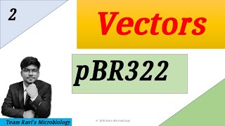 pBR322 Plasmid  Clonning Vectors  Hindi [upl. by Hanselka]