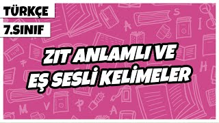 7 Sınıf Türkçe  Zıt Anlamlı ve Eş Sesli Kelimeler  2022 [upl. by Rior48]