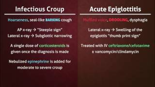 Infectious Croup vs Acute Epiglottitis [upl. by Daryn369]