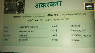 Akarkara pellitory root अनोखे फायदे [upl. by Meehahs274]