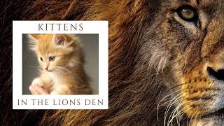 Stop Sending Kittens Into the Lions Den What HR Gets Wrong About Developing Executives [upl. by Ennaecarg]