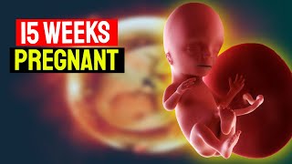 15 Weeks Pregnant Your Babys Growth amp Development  Pregnancy Symptoms amp Tips [upl. by Isaak845]