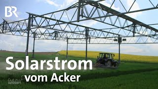 AgroPhotovoltaik in der Landwirtschaft Solarstrom vom Acker  Gut zu wissen  BR [upl. by Certie]