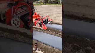 Mulching machine plasticmulch farming yummyfarm [upl. by Anitnemelc892]