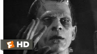 Abbott and Costello Meet Frankenstein 111 Movie CLIP  The Wolf Man Transforms 1948 HD [upl. by Ahsikit334]