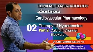 Cardiovascular Pharmacology Ar  02  Calcium channel blockers [upl. by Amron]