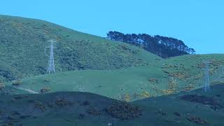 Pylons and high voltage cables visible from our house Lower Hutt New Zealand [upl. by Ainiger]