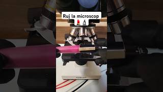 Ruj la microscop 💄🔬 romania [upl. by Suirrad]