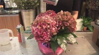 How To Arrange Hydrangeas [upl. by Wiedmann]